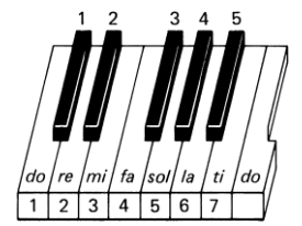 钢琴白键上的do-re-mi-fa-sol-la-ti-do